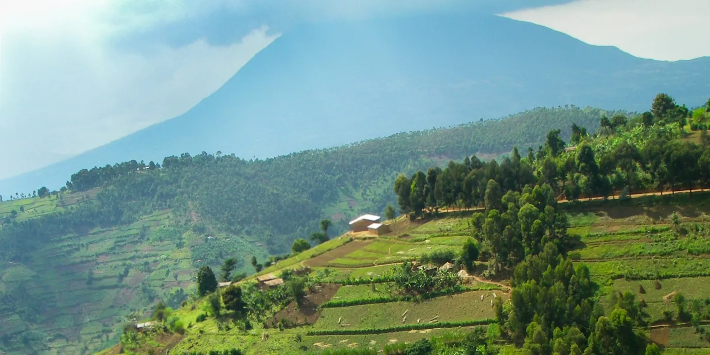 CSF Annual Report 2024 Cover: Landscape of green hills and agricultural fields.