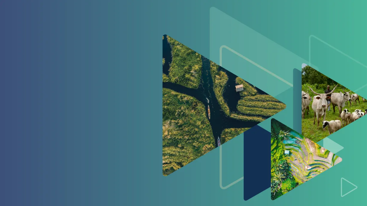 CSF 2025 Annual Report