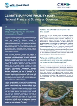 CSF National Plans & Strategies - Brochure cover with text.