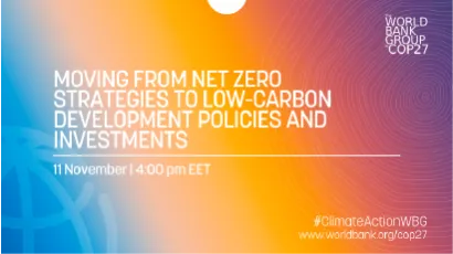 Moving From Net Zero Strategies to Low-Carbon Development Policies and Investments