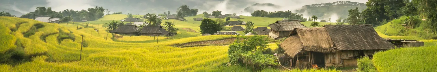 Houses on Green Grass Field