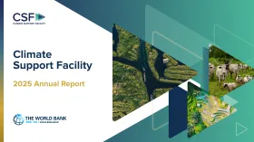 CSF 2025 Annual Report Cover