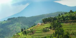 Green hills and agricultural fields.