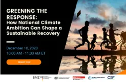 Greening the Response: How National Climate Ambition Can Shape a Sustainable Recovery