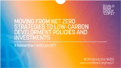 Moving From Net Zero Strategies to Low-Carbon Development Policies and Investments