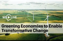 Green Recovery Dialogue: Greening Economies to Enable Transformative Change
